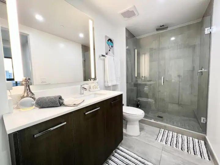 Apartment 2br, 2 Baths Lux Downtown Heart Of With Amazing Views, Pool, & Gym